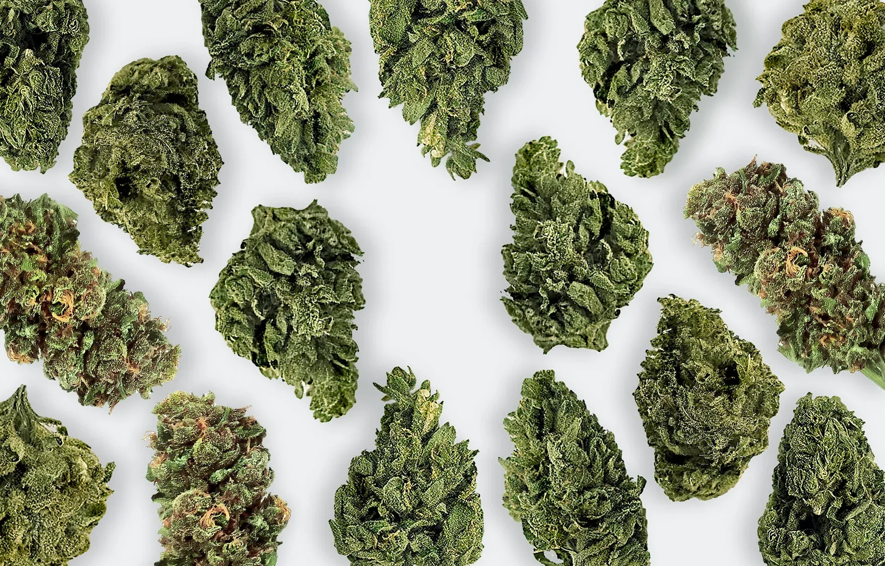 Pharmaceutical Grade Cannabis Flowers